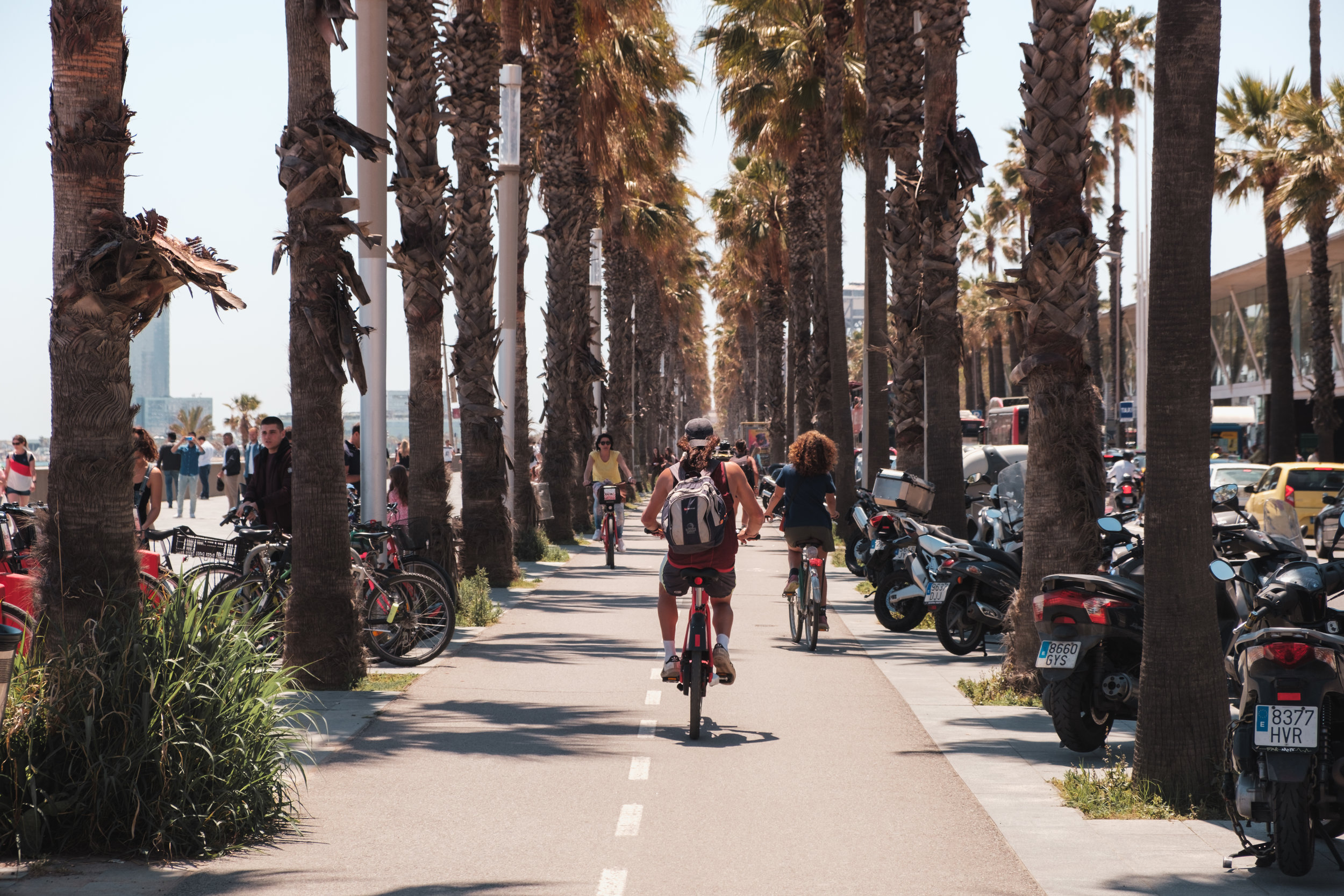 A used bike is a good alternative because it costs less than newer models. The Best Barcelona Bike Tours For 2019 Buena Vista Tours