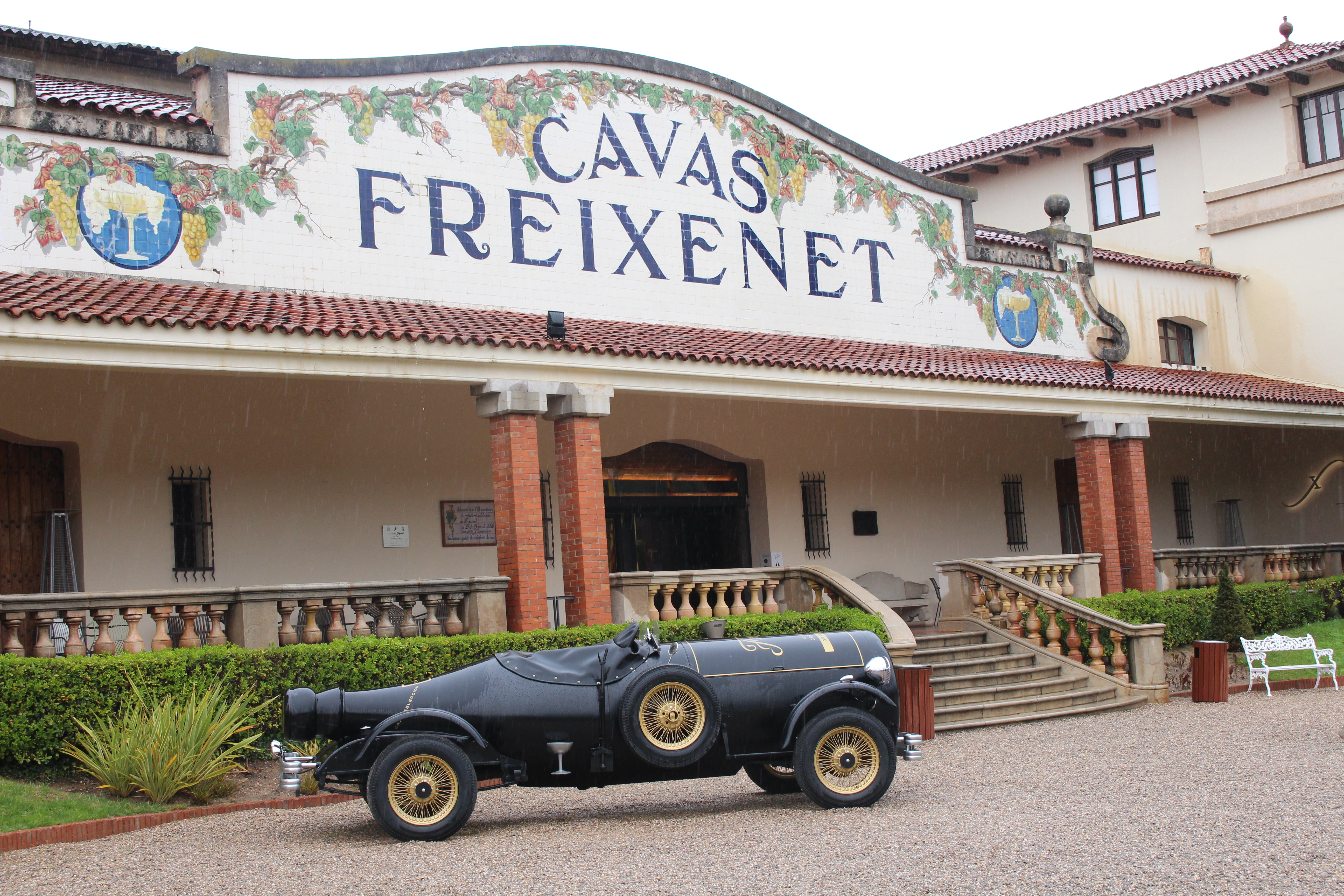 Bryant while elvis entered graceland through t. Freixenet Makes Millions Of Bottles Of Cava At A Reasonable Price The Survive And Thrive Boomer Guide