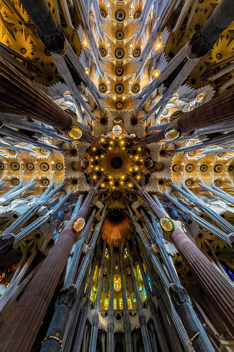 Exploring Interior Techo Sagrada Familia Barcelona&nbsp;Package