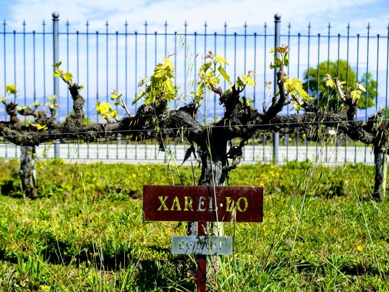 Wanderbeak Tours Barcelona&nbsp;Package