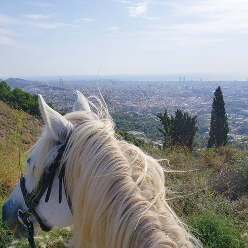 49+ Barcelona Horse Tours&nbsp;Package