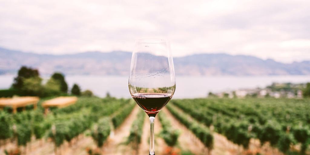 Amazing Montserrat Tour With Lunch And Gourmet Wine Tasting&nbsp;Packages